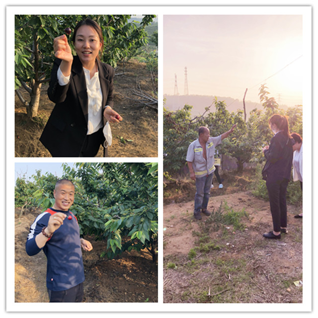 0638̫������(�й���)�ٷ���վ-Macau Platform