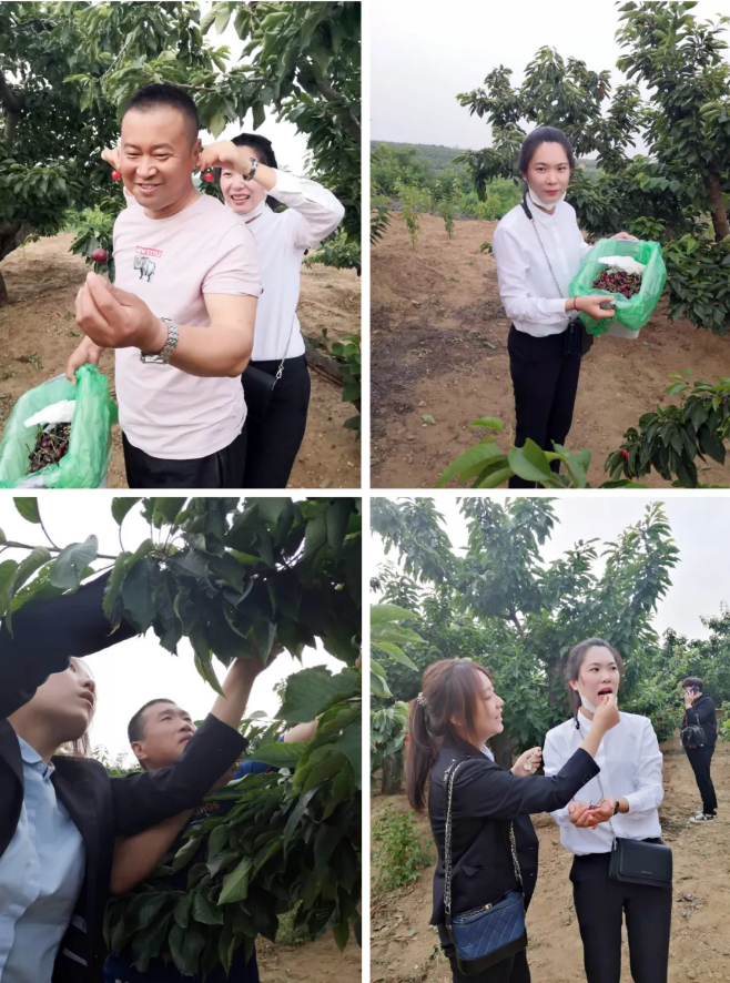 0638̫������(�й���)�ٷ���վ-Macau Platform