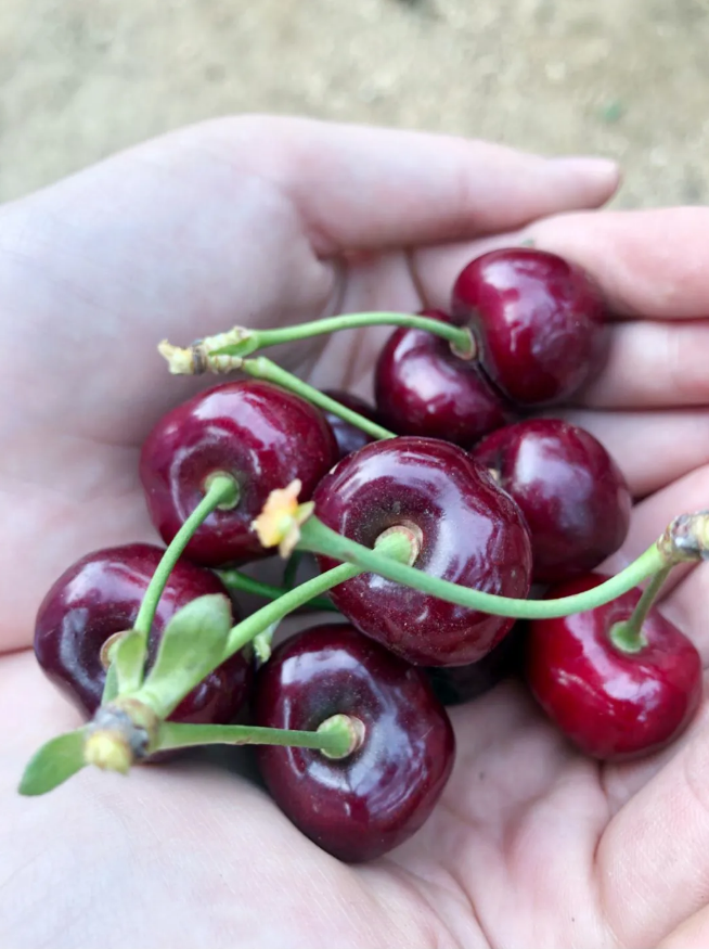 0638̫������(�й���)�ٷ���վ-Macau Platform